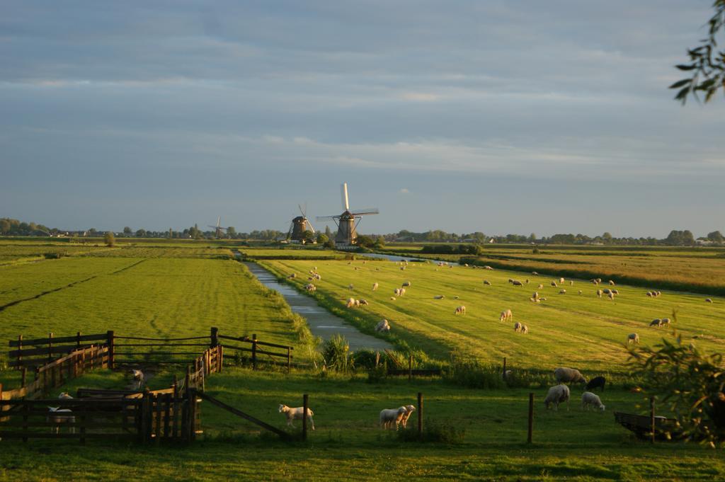 Hoeve Suydeinde Aarlanderveen Eksteriør bilde